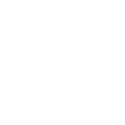 Lynx Partners