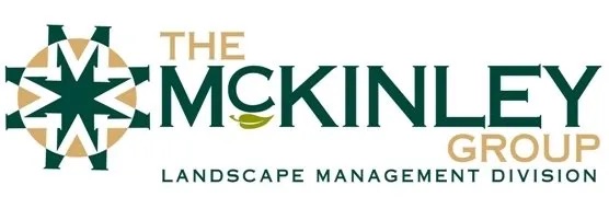The McKinley Group